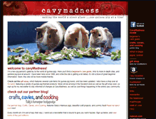 Tablet Screenshot of cavymadness.com